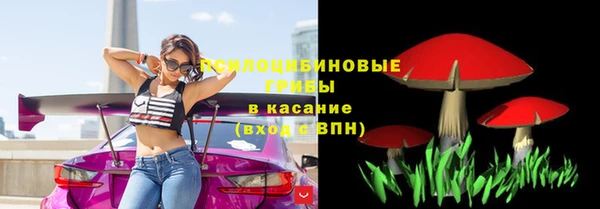 Альфа ПВП Ивантеевка