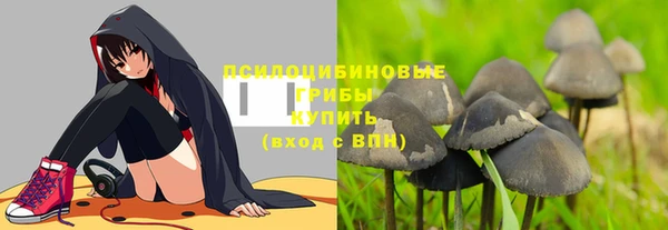 скорость Заводоуковск