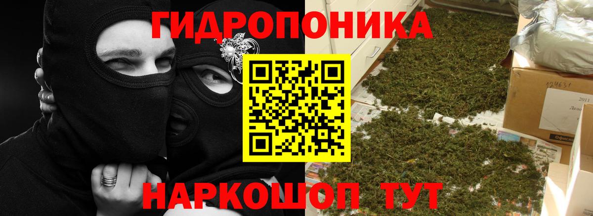 Конопля AK-47  Шишки марихуана ГИДРОПОН  Шишки марихуана LSD WEED  Вход с VPN  Канабис конопля  Искитим 